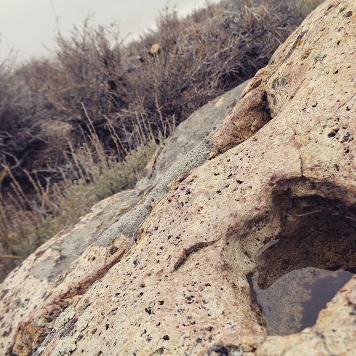 From Facebook: 'Pictured here is a Grinding Stone with rainwater collected from snow & rain. Behind is the Pinenut Tree that was cut down not too long ago. Goes to show we been in this area and no matter how they put it we had been coming into the Sweetwater area for thousands of years. #PinenutsAreThePeople No Justification to cutting down our relatives. They need to set it right and leave this area alone. Ndn people come from all over to pick in this area and if we say it's ok for 1 area, they gonna want more. Greed and $$$ can't bring back our pinenuts.'