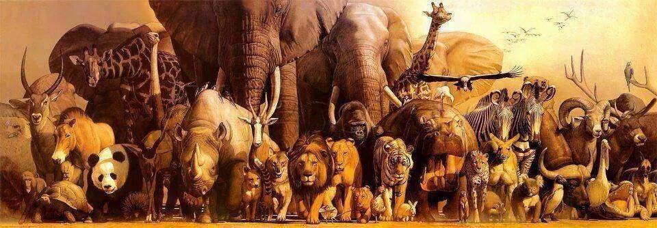 11836927_10152886827842130_2034464353053809484_n