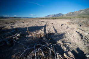 Revolution in the Great Basin - Deep green Resistance